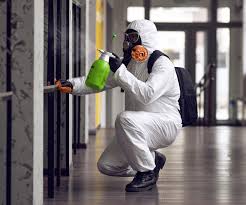 Reliable New Hyde Park, NY Mold Removal & Remediation Solutions